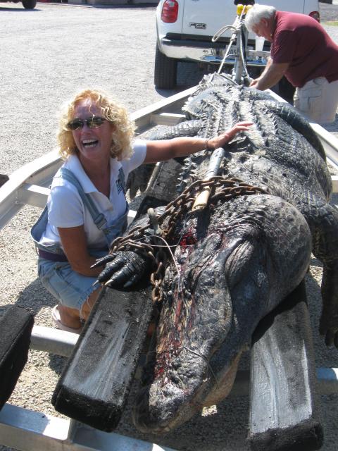 <a href="/photos/gallery/hunting/2010/09/three-gigantic-gators-killed-one-week-south-carolina-georgia/"><strong>#11.<br />
Three Gigantic Gators Killed in One Week</strong></a> Southern waters yielded three 13-foot alligators in a six-day span last fall. The hunters bagged each with different equipment, methods and motivations and all experienced different outcomes. <a href="/photos/gallery/hunting/2010/09/three-gigantic-gators-killed-one-week-south-carolina-georgia/">Read the story and see the photos here. </a>