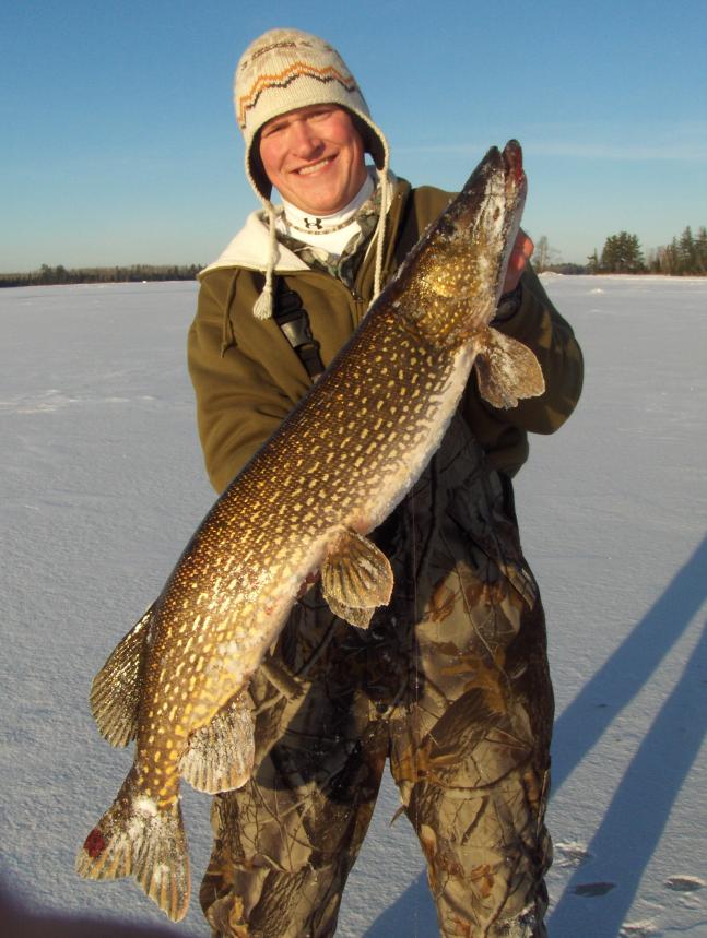 My buddy, Eric, pulled this 40 inch bad boy through the ice in northern Minnesota after a 25 minute battle on a heavly fished lake. This monster is still lurking the depths, waiting for the day he can grab a state record.