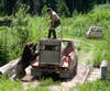 1987 Montana Bear Attack