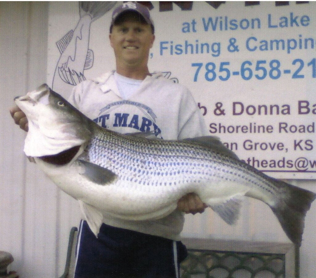 Paul Bahr of Ellsworth caught this 44-lb. striped bass May, 14, on Wilson Reservoir. Bahr was trolling planer boards baited with shad along the shoreline at 7:15 p.m. when he hooked the big striper, a 44-inch female. He boated the fish after a tough 15-minute fight.
