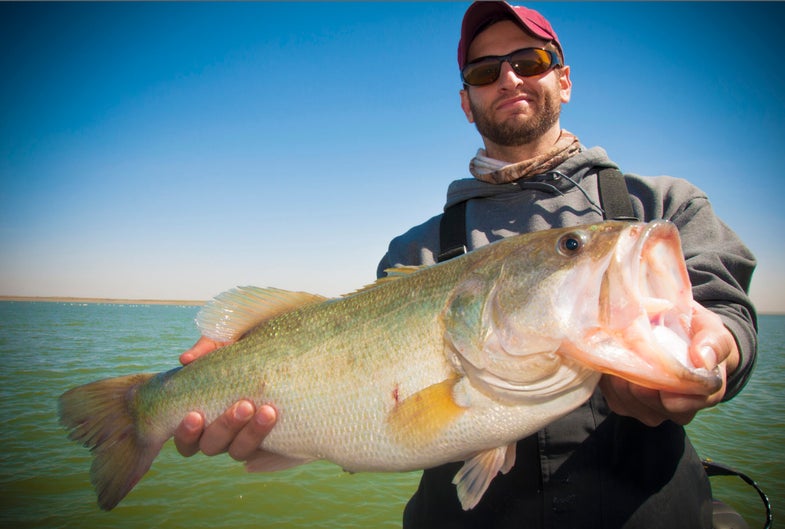 Why 4-Pound Bass Can Be The Most Important You Catch