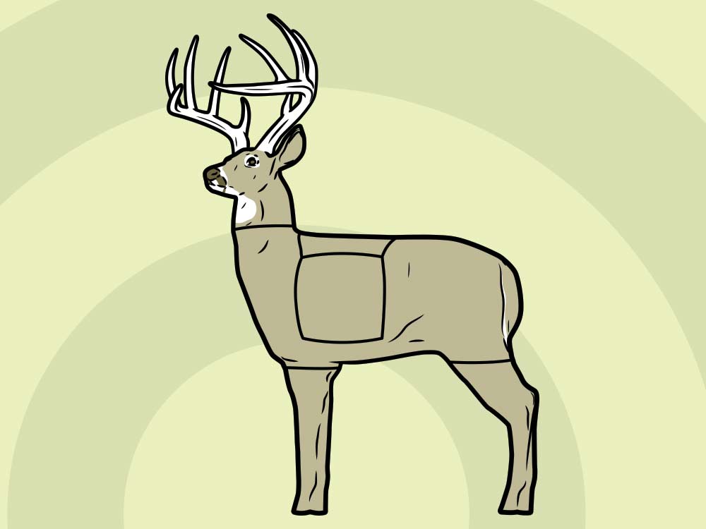 "deer