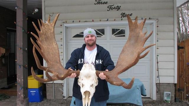 Dale Tucker, 35, of Sault Ste. Marie had no intentions of going moose hunting this past fall. But when the IT manager pulled a long-shot bull tag, he gathered up his hunting buddies, headed for Northwestern Ontario's Red Lake area, and arrowed what will almost certainly be Ontario's new No. 1 archery bull. With a current official score of 204 1/8 inches, Tucker's prize should rank in the top 10 among Pope & Young's all-time Canada moose. Here is his story. You can <a href="/photos/gallery/hunting/2010/01/giant-pope-young-moose-could-be-new-ontario-archery-record/?photo=9%2F">watch the hunt on film</a> on slide number 10.