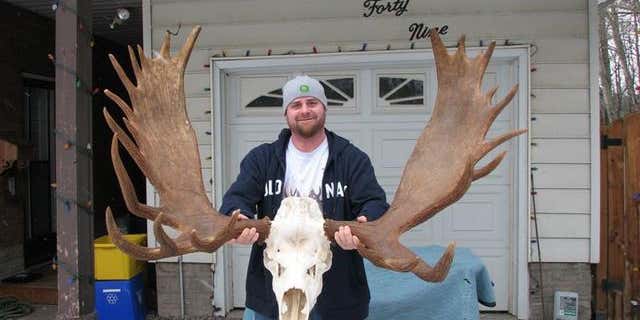 Giant Moose Could Be New Ontario Archery Record