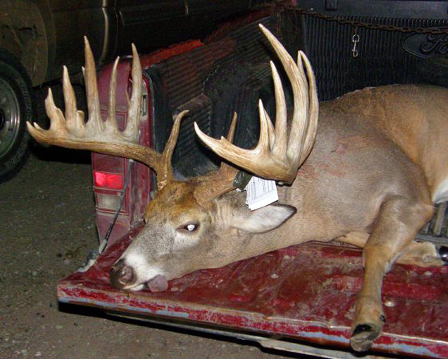 Nebraska Record Buck Confirmed, Biggest U.S. Typical in 39 Years