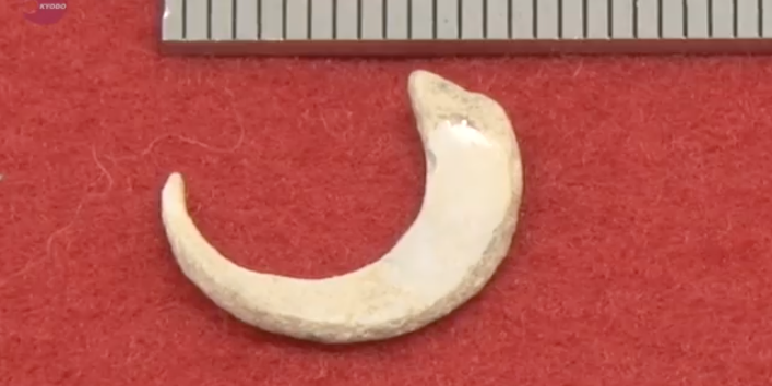 Researchers Uncover World’s Oldest Fishhooks