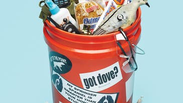Dove Bucket List: 7 Essential Items for the Opener