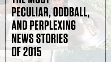 The Most Peculiar, Oddball, and Perplexing News Stories of 2015