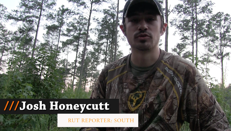 South Region Rut Reporter Josh Honeycutt
