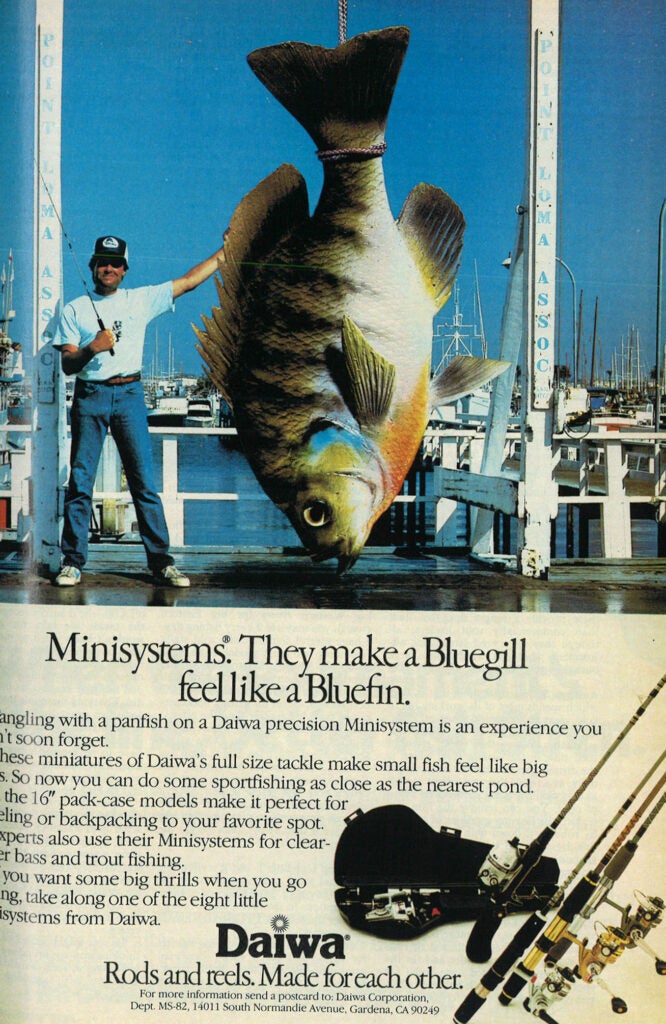 fishing ads