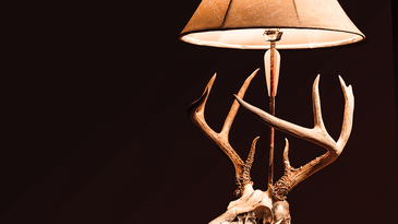 Project: How to Make Your own Euro Skull Lamp
