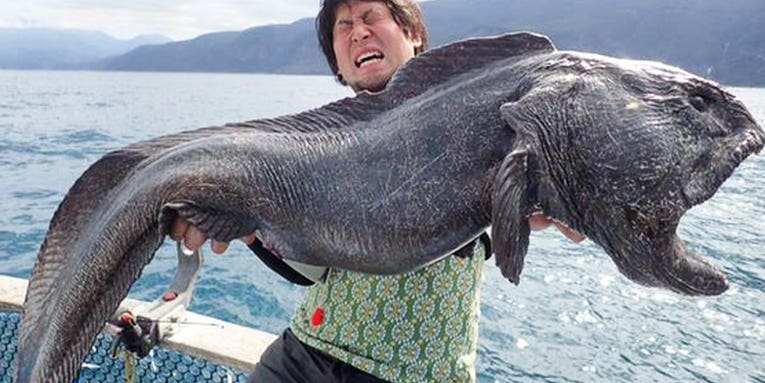 Japanese Angler Lands Ghoulish Wolf Eel