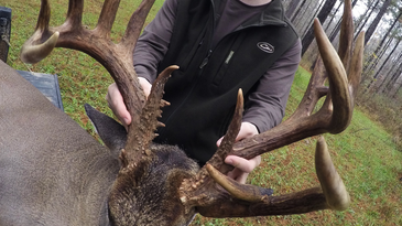 In Some Parts, It’s Prime Time for Big Bucks