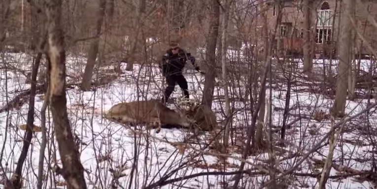 Video: Cop Tasers Locked Buck