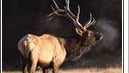ELK--The Old-Fashioned Way