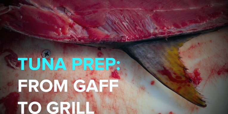 How to Prep a Fresh-Caught Tuna for the Table