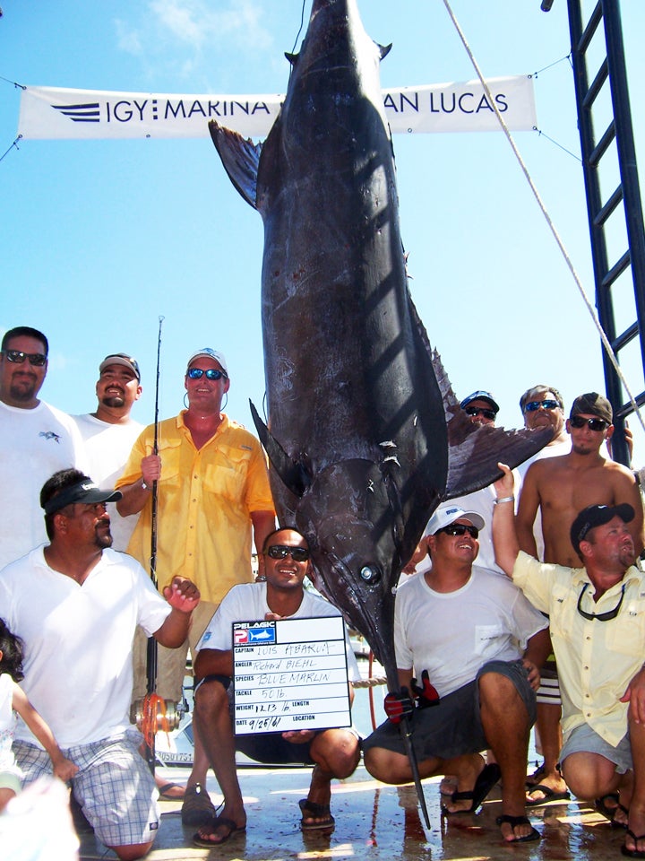On Saturday, September 24, 2011, Richard Biehl (in the sweat-soaked orange shirt) hooked what's being considered by locals as the largest blue marlin ever landed in Mexico's Cabo San Lucas, while chartering aboard the "<a href="http://www.godeepgocabo.com">Go Deep</a>". Thirty hours later, after a marathon 27-½ hour battle on 60-pound-test line, the fish was in the marina and attempts to weigh the behemoth began. But the 176-inch (137 inches not counting the tail and bill, with a girth of 75 inches) had to be given an estimated weight of 1,213 pounds after it was found to be too lengthy for the scale. While the fish spurred both curiosity and commemoration amongst locals after news of the catch circulated, it also gave Biehl's wife quite a scare. Because the group was out of communication for so long, she was mere minutes away from filing a missing person report with the local Mexican government before finding out her husband wasn't truly missing, but fighting the fish of a lifetime. However, the anglers and crew did begin running out of food and water. Here's the story of this amazing battle, and the catch it yielded.