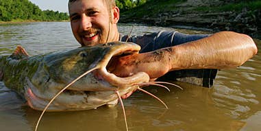 Man vs. Catfish: Catching Flatheads by Hand in Mississippi’s Yazoo River