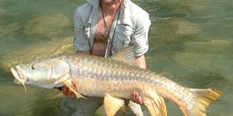 On The Hunt For Himalayan Mahseer