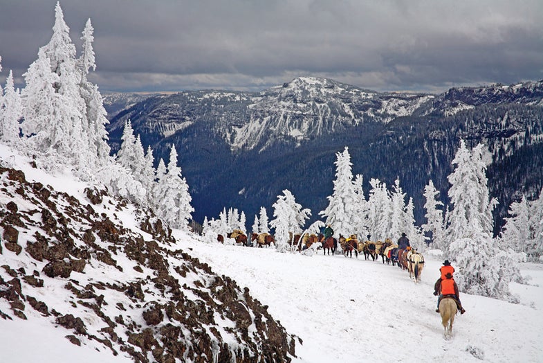 "Many of the passes were filled with lots of snow, which would melt during the day, then freeze into solid ice under our feet," says photographer Dusan Smetana of this hazardous pack-in for a weeklong elk hunt in late September. "Normally it would be safer to ride than to walk, because the horses can plow through. So you can imagine how nervous we were when we got to a pass no wider than 2 feet and 10,000 feet up, where the outfitter told us to dismount and follow the animals on foot." Smetana snapped this photo right after their caravan made it through safely, then resumed riding into the next basin. "The outfitter hadn't seen it that bad in 20 or 30 years." --K.B.<br /><strong>Location:</strong> Absaroka-Beartooth Wilderness, Montana<br /><strong>Issue:</strong> December 2012/January 2013 <br /><em>Photo by Dusan Smetana</em>