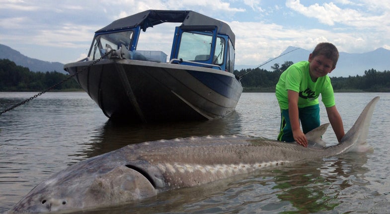 <em>Photo via <a href="http://greatriverfishing.com/fishing-reports/nine-year-old-new-jersey-boy-catches-10ft-dinosaur-while-on-a-sturgeon-fishing-adventure/">Great River Fishing Adventures</a></em>