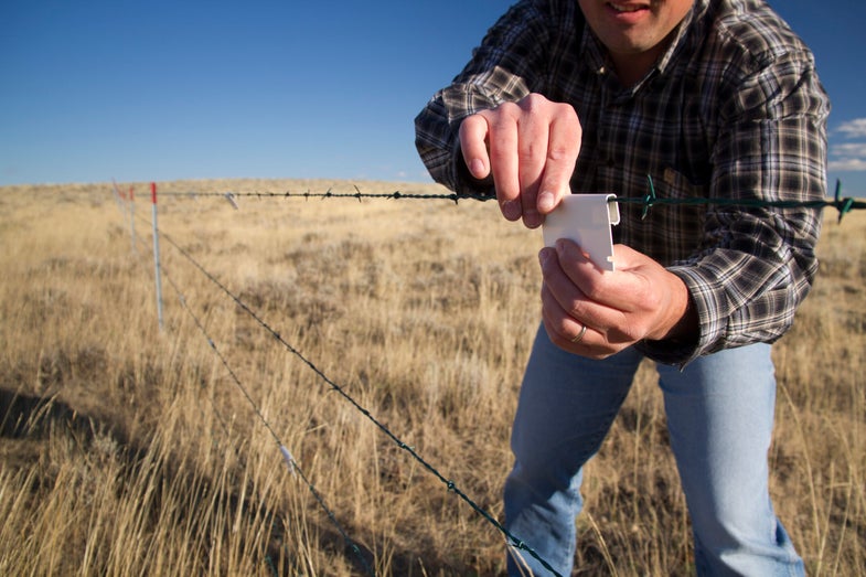 Hero for a Day Video: How Small Pieces of Plastic Can Save Hundreds of Sage Grouse