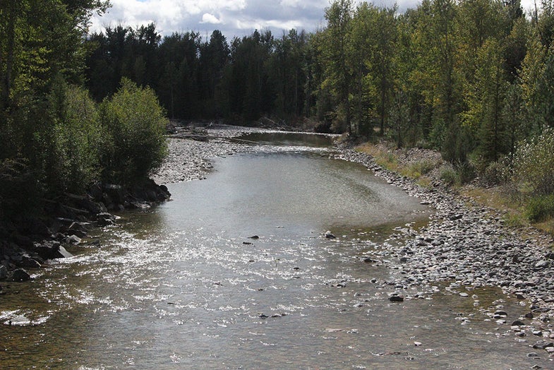 montana stream access