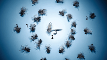 The Best Midge-Cluster Fly Patterns for Winter Trout