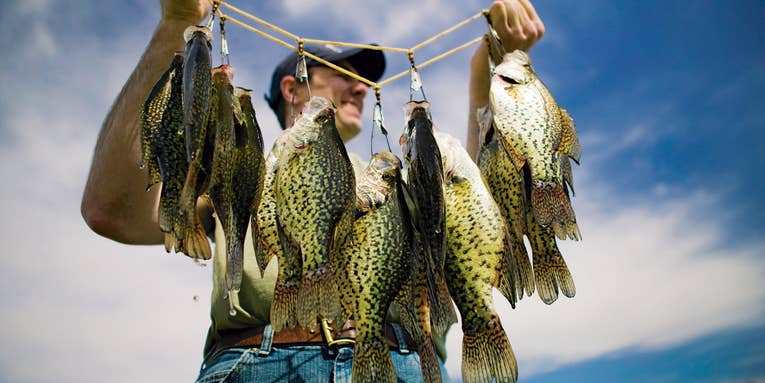 How To SHOOT DOCKS For CRAPPIE! 