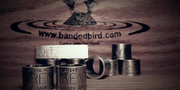 Banded Bird: Replicas and Custom Bands