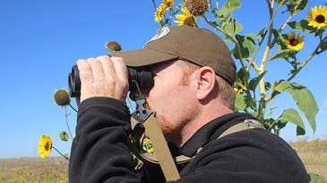 Preseason Scouting: Trail Cameras Can’t Replace Good Optics and Patience