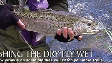 Fishing the Dry Fly Wet