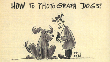 F&S Classic: How to Photograph Dogs!