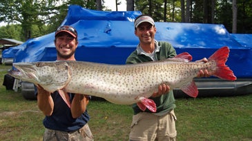 How to Catch Giant Muskie Like This Great Lakes State Record