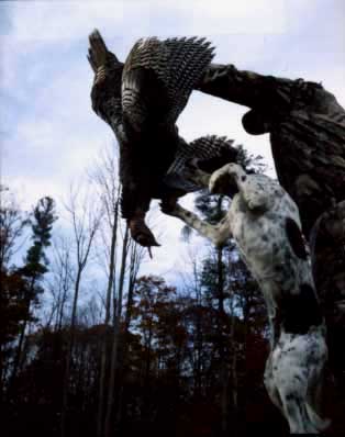 Hunting Turkeys with Dogs