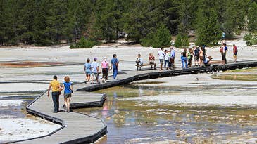Yellowstone Visitor Dies After Leaving Boardwalk, Falling Into Hot Spring