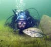 kirk deeter goes scuba diving underwater with largemouth bass during the spawn while they're on beds to see what they eat and learn about their spawning behavior in the spring