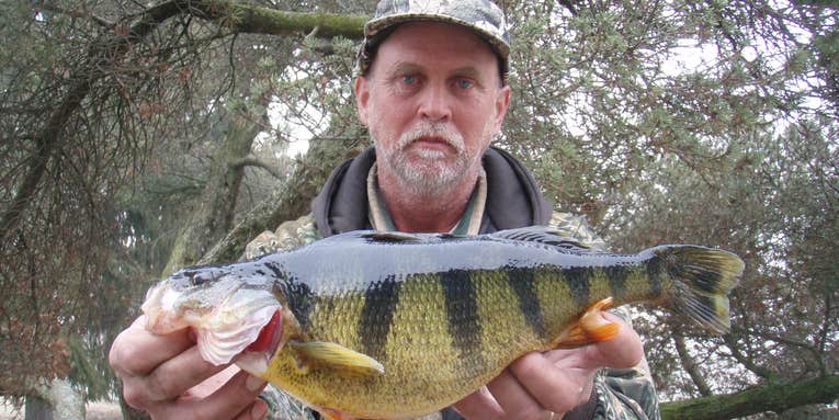 New State-Record Perch Comes Through the Ice in Iowa