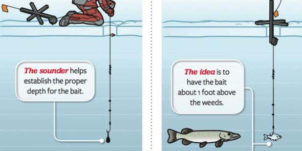 Ice Fishing: Tactics for a Better Tip-Up
