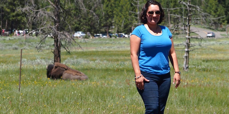 Yellowstone Park Rangers Say Stop Taking Photos with Bison