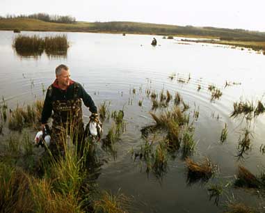 DIY Duck Hunting Saskatchewan's Prairie Pothole Country