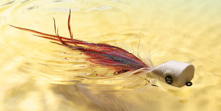 Fly Fishing: Explosive Popper Tactics for 5 Species, Besides Trout