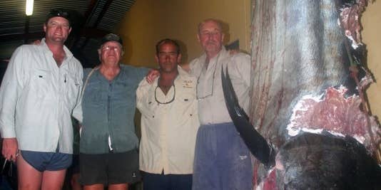 Potential African Record Black Marlin Eaten By Sharks