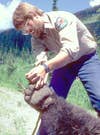 1987 Montana Bear Attack