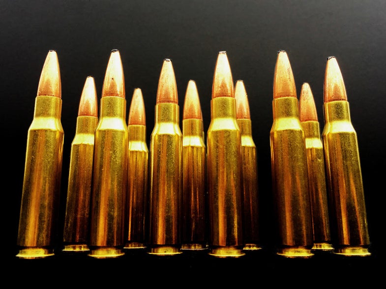 308 winchester rifle ammo