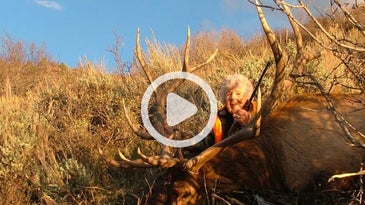 Video: 82-Year-Old Woman Harvests Monster Bull Elk
