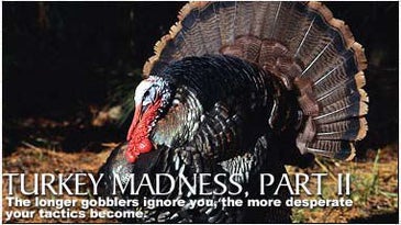 Turkey Madness Part II: The Silent Treatment