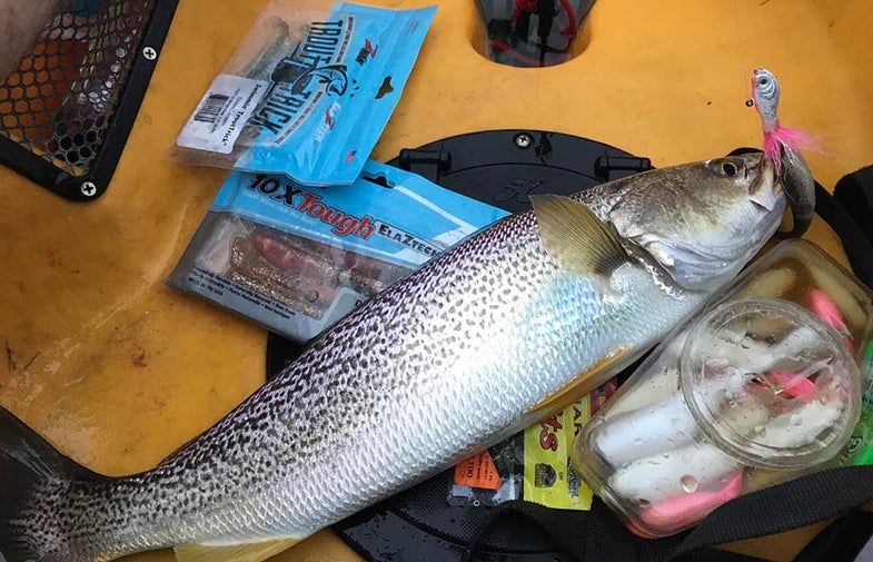 weakfish and tackle