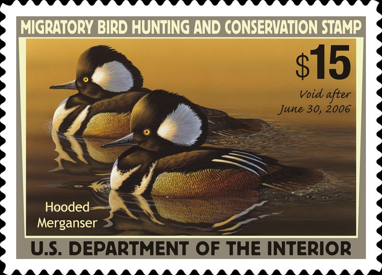 duck stamp, new duck stamp rule, non-game duck stamp,