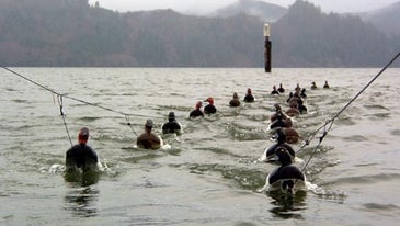 Oregon: Home of the Divers